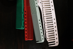 Traitement punaises de lit Combs-la-Ville